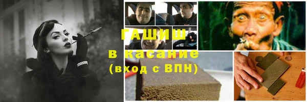 сатива Надым