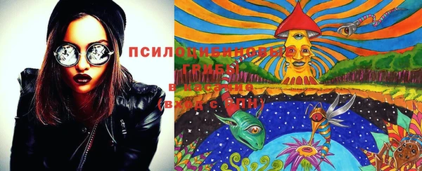 альфа пвп Алексеевка