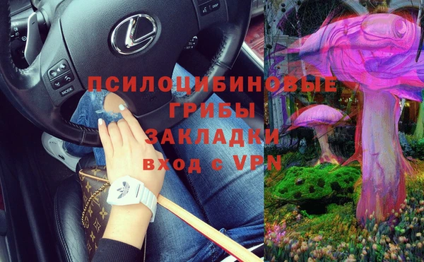 ГАЛЛЮЦИНОГЕННЫЕ ГРИБЫ Алексин