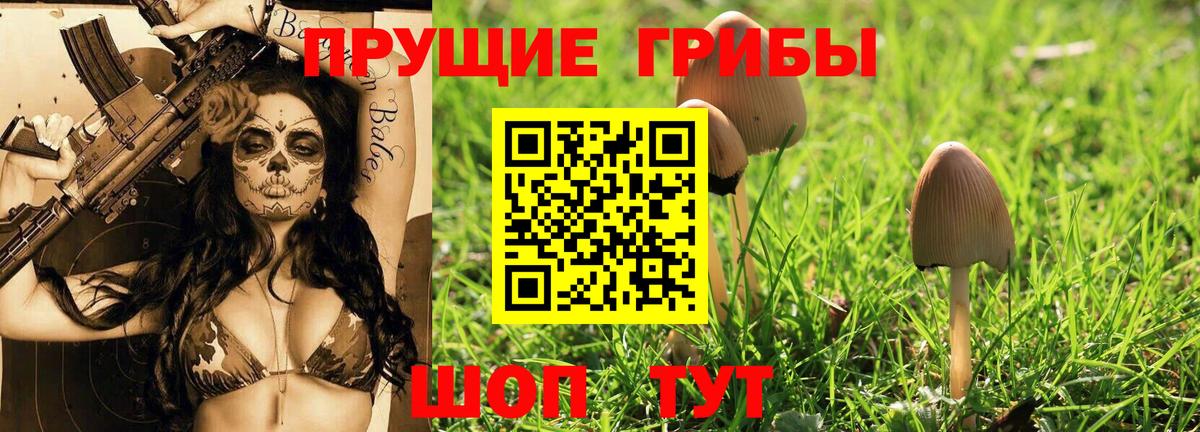 Галлюциногенные грибы MAGIC MUSHROOMS Новошахтинск