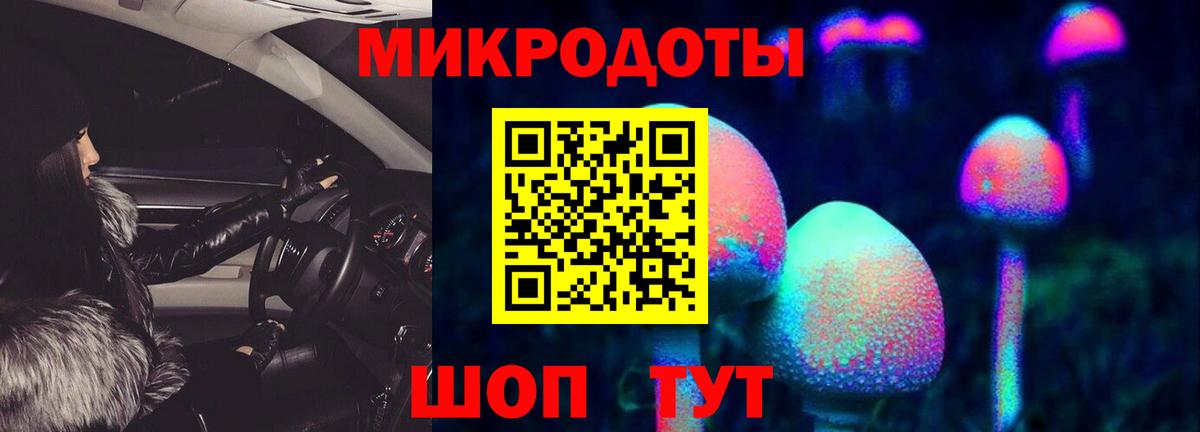 Новошахтинск  Псилоцибиновые грибы Cubensis  Вход с VPN 