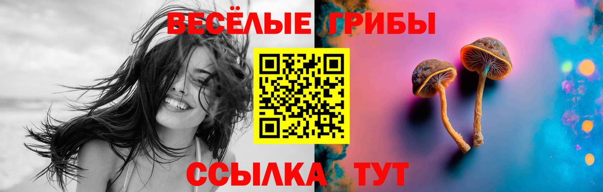 Новошахтинск  Псилоцибиновые грибы прущие грибы  Вход с VPN 